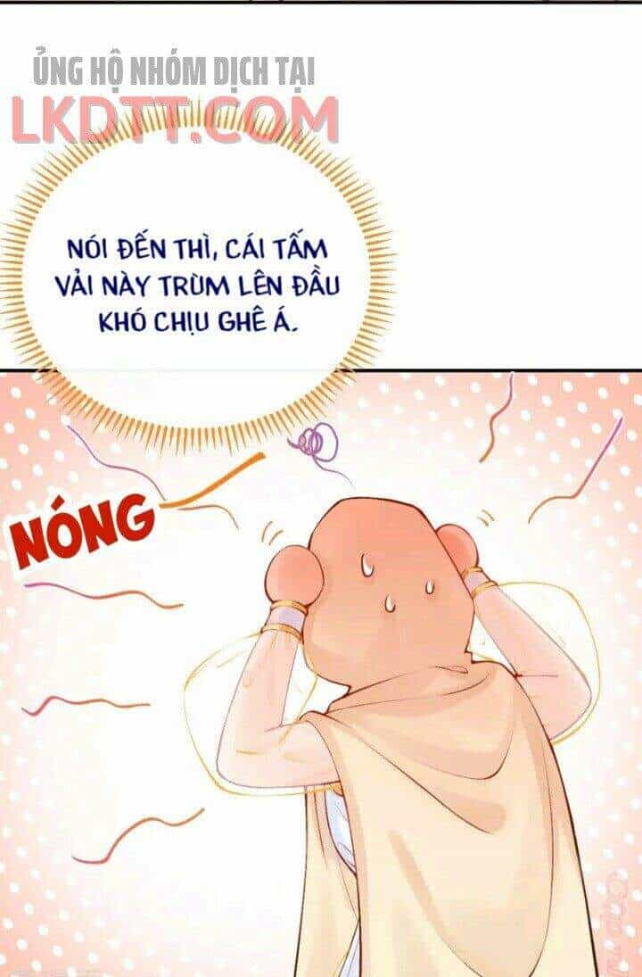 Xuyên Đến Ai Cập : Trở Thành Cô Dâu Của Vương - Chương 25 - ảnh 17