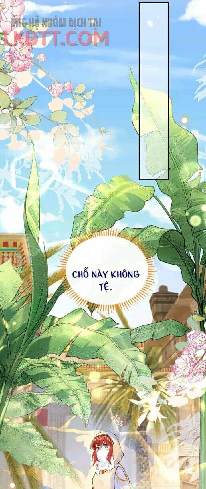 Xuyên Đến Ai Cập : Trở Thành Cô Dâu Của Vương - Chương 25 - ảnh 19