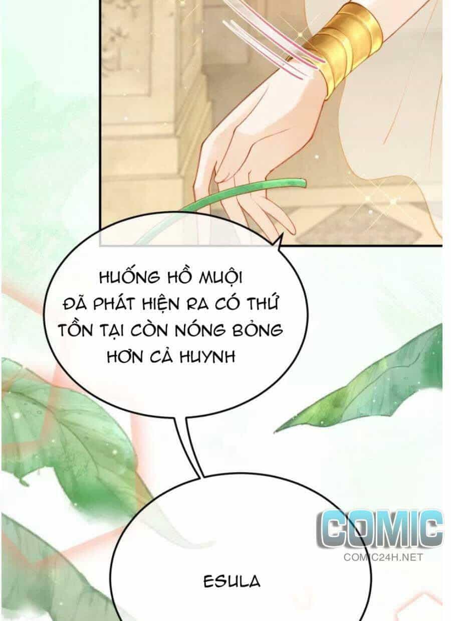 Xuyên Đến Ai Cập : Trở Thành Cô Dâu Của Vương - Chương 26 - ảnh 14