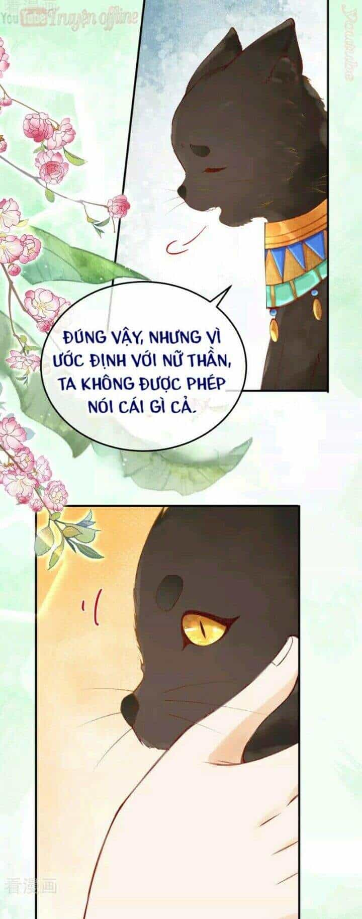 Xuyên Đến Ai Cập : Trở Thành Cô Dâu Của Vương - Chương 27 - ảnh 22