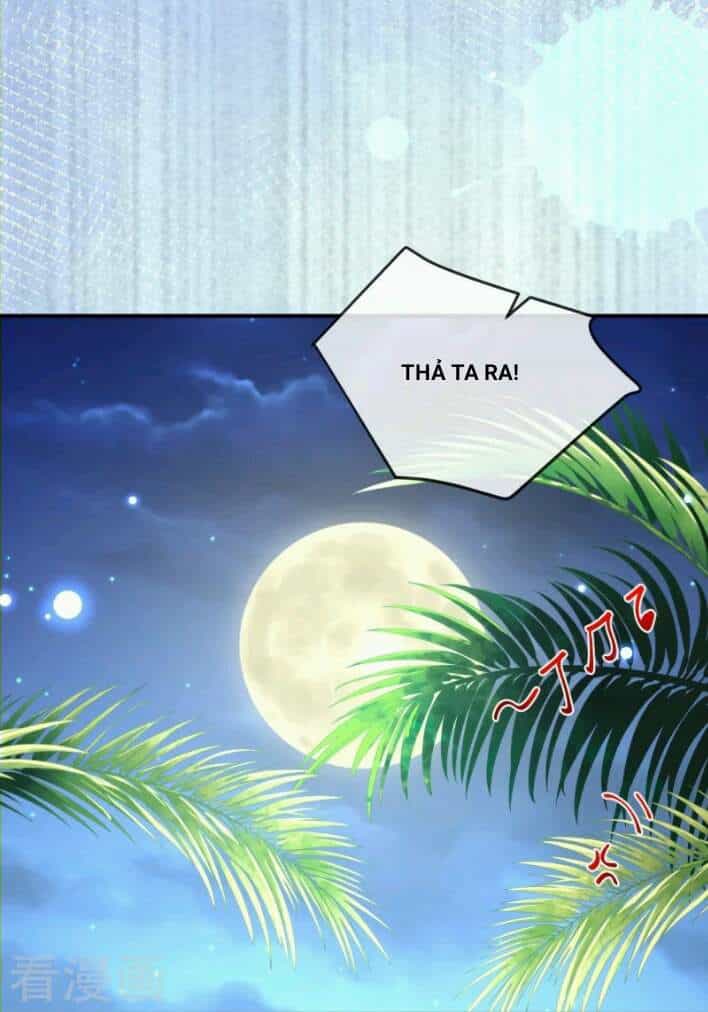 Xuyên Đến Ai Cập : Trở Thành Cô Dâu Của Vương - Chương 33 - ảnh 9