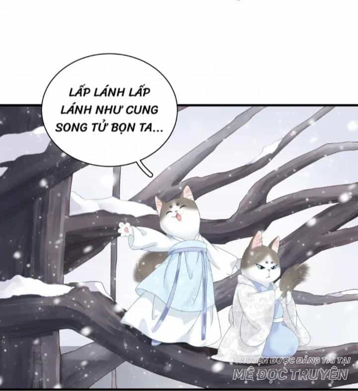 Xuyên Khê Nhập Mộng - Chương 1 - ảnh 6