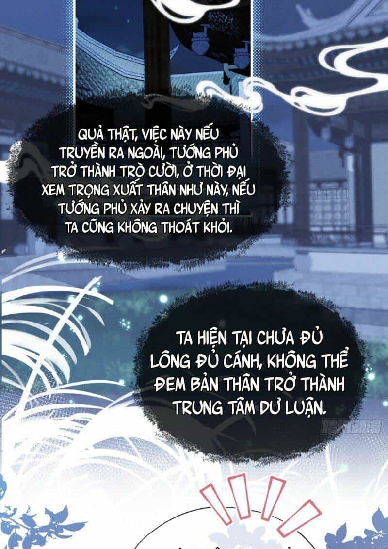 Xuyên Không Về Gả Cho Vương Gia Ốm Yếu - Chương 13 - ảnh 30