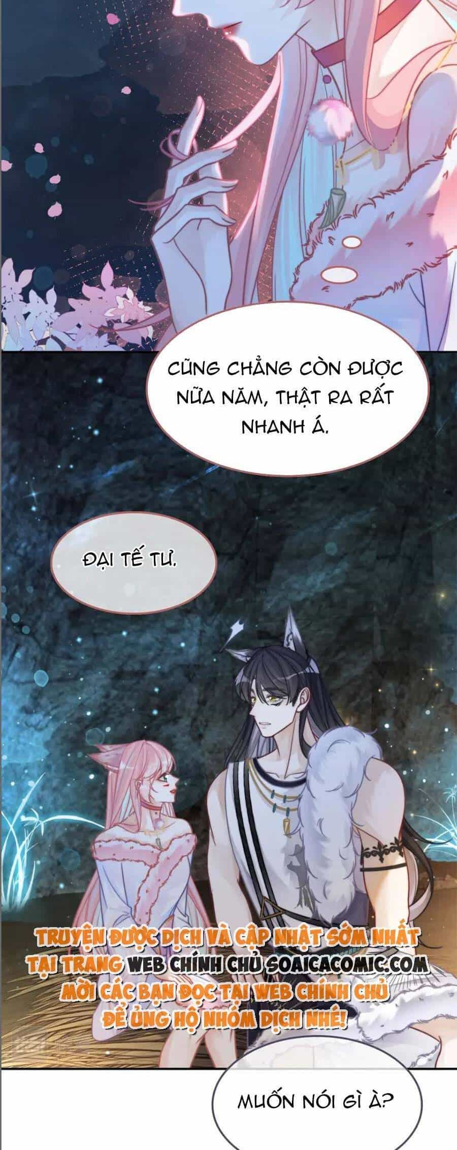 Xuyên Nhanh Nữ Phụ Bình Tĩnh Chút - Chương 161 - ảnh 19