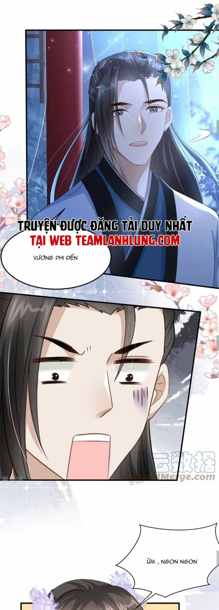 Xuyên Qua Làm Vương Phi Xinh Đẹp Của Vương Gia - Chương 31 - ảnh 16