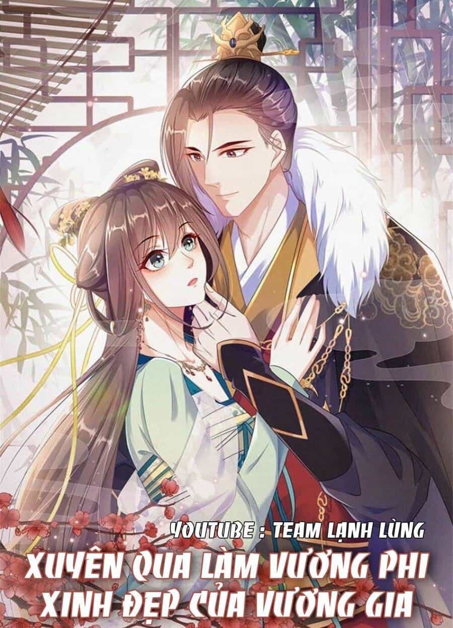 Xuyên Qua Làm Vương Phi Xinh Đẹp Của Vương Gia - Chương 9 - ảnh 1