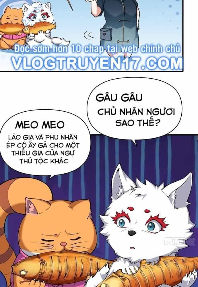 Xuyên Qua Thành Npc Xui Xẻo: Ta Có Lão Bà Che Chở - Chương 13 - ảnh 17