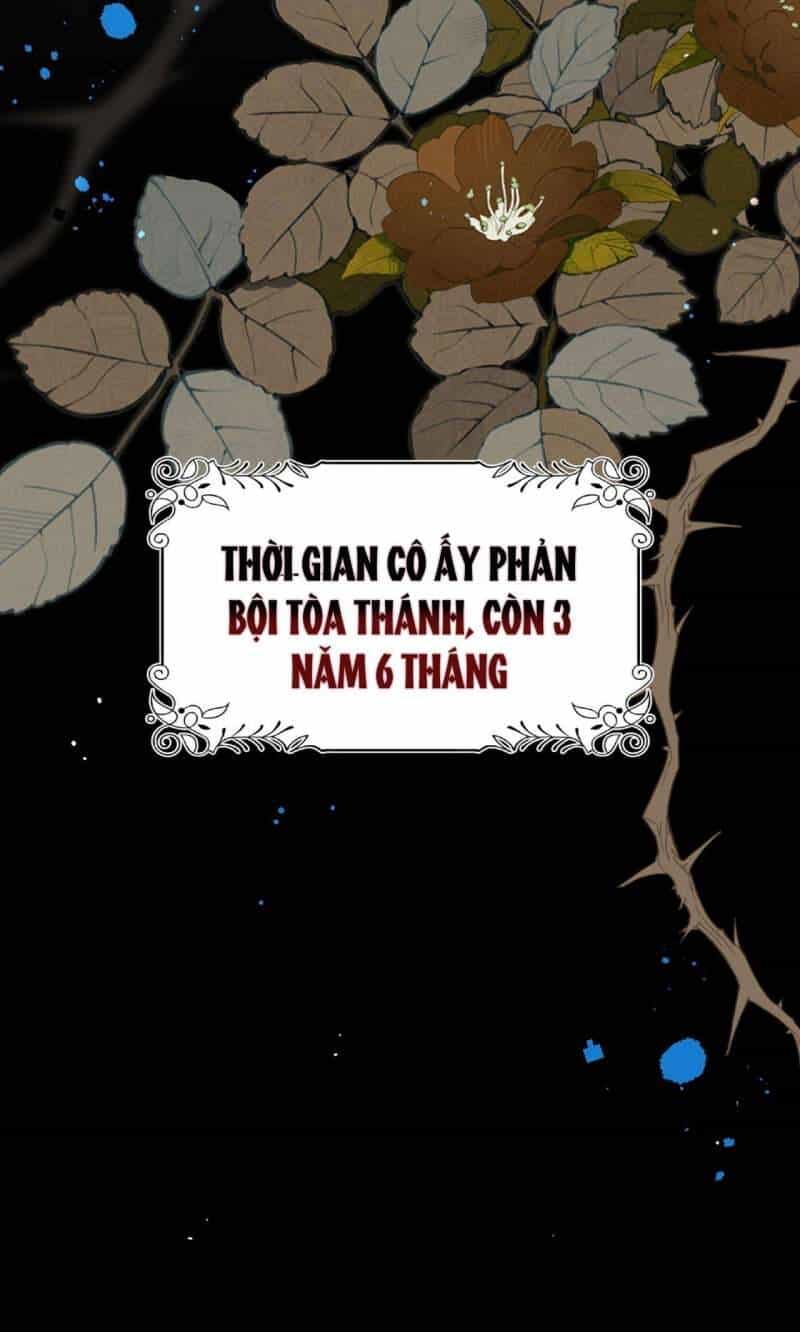 Xuyên Thành Phù Thủy Nuôi Dưỡng Kỵ Sĩ Thánh Điện - Chương 29 - ảnh 37