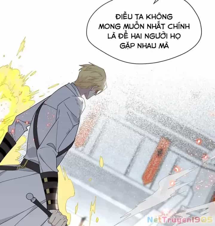 Xuyên Thành Phù Thủy Nuôi Dưỡng Kỵ Sĩ Thánh Điện - Chương 78 - ảnh 18