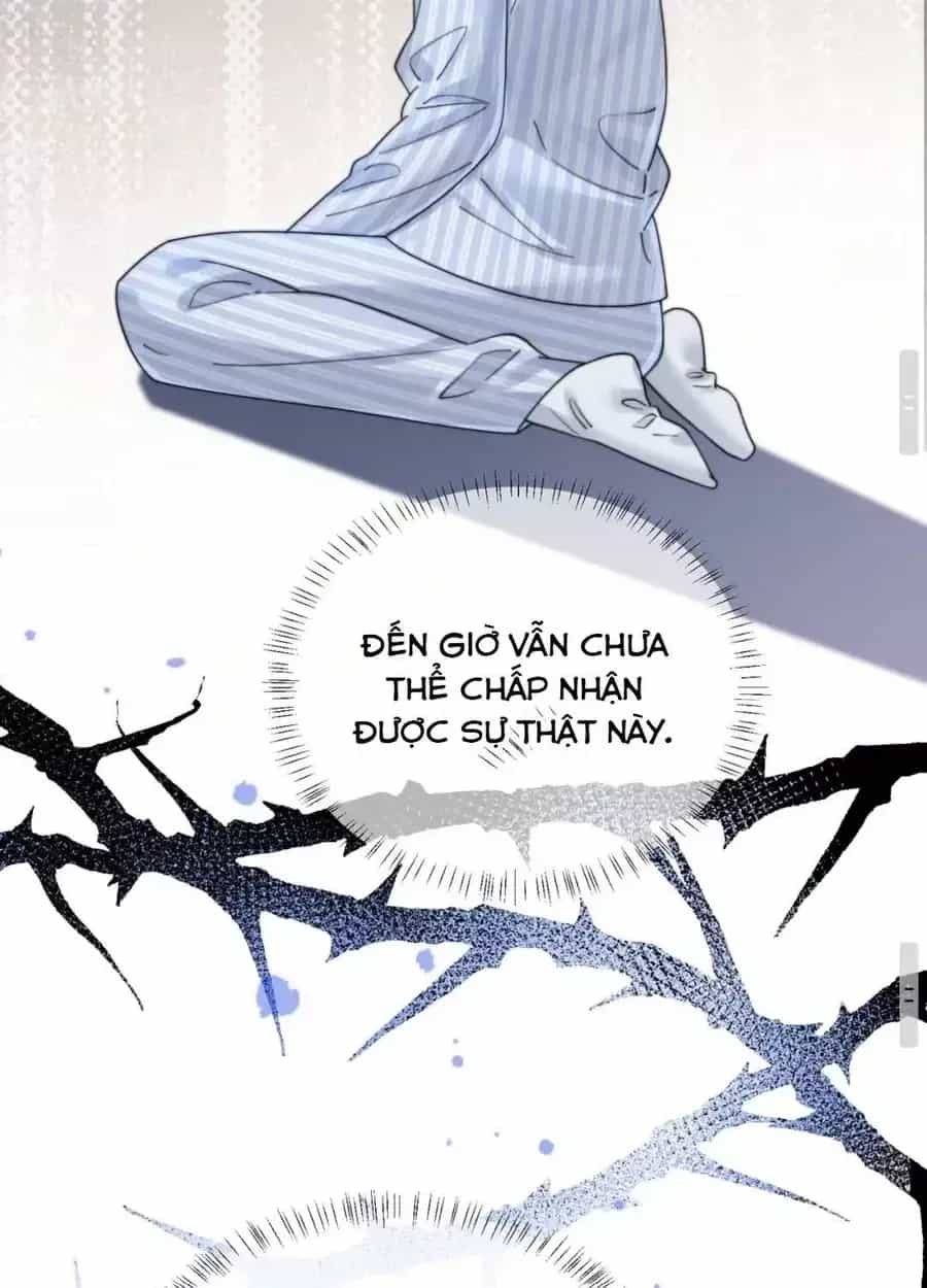 Xuyên Thành Tiểu Muội Của Đại Lão Giấu Mặt - Chương 124 - ảnh 71