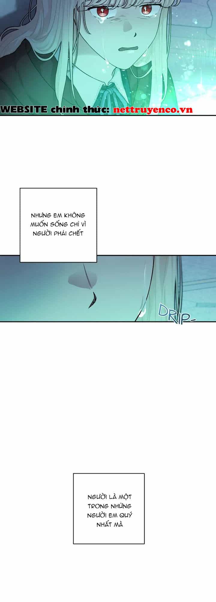 Xuyên Vào Teenfic Làm Thị Nữ - Chương 90 - ảnh 23