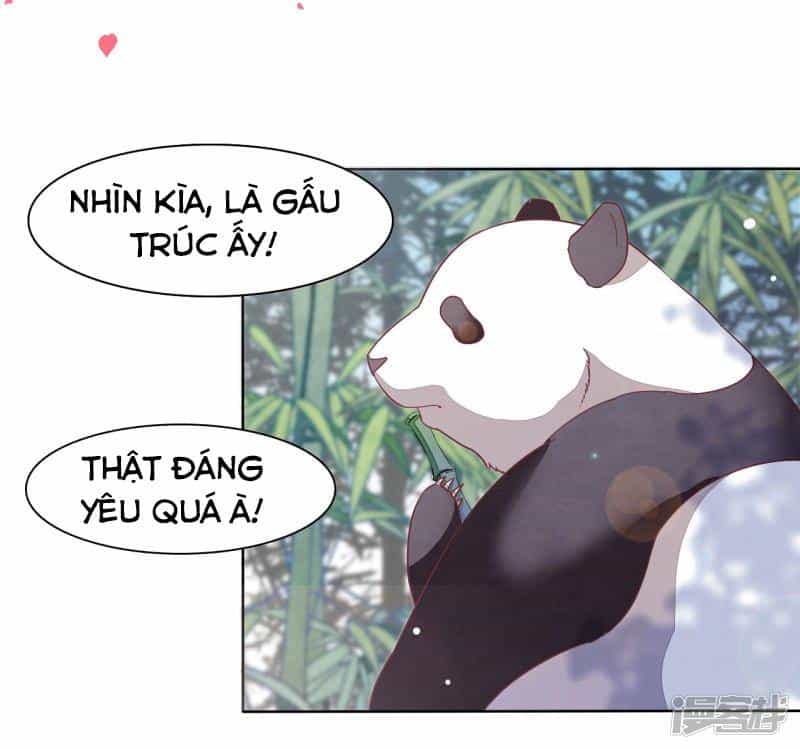 Xuyên Về Cổ Đại Làm Quốc Bảo - Chương 0 - ảnh 10
