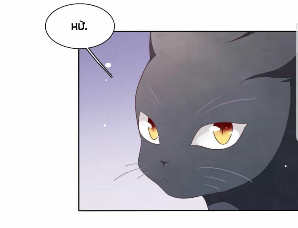 Xuyên Về Cổ Đại Làm Quốc Bảo - Chương 30 - ảnh 15