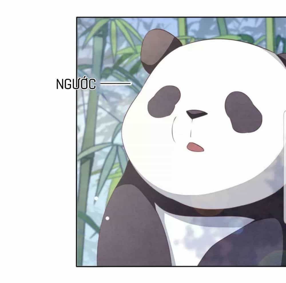 Xuyên Về Cổ Đại Làm Quốc Bảo - Chương 6 - ảnh 24
