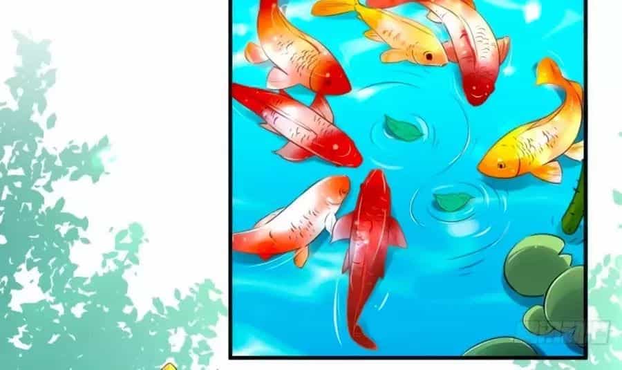 Xuyên Việt Vương Phi Yếu Thăng Cấp - Chương 136 - ảnh 3