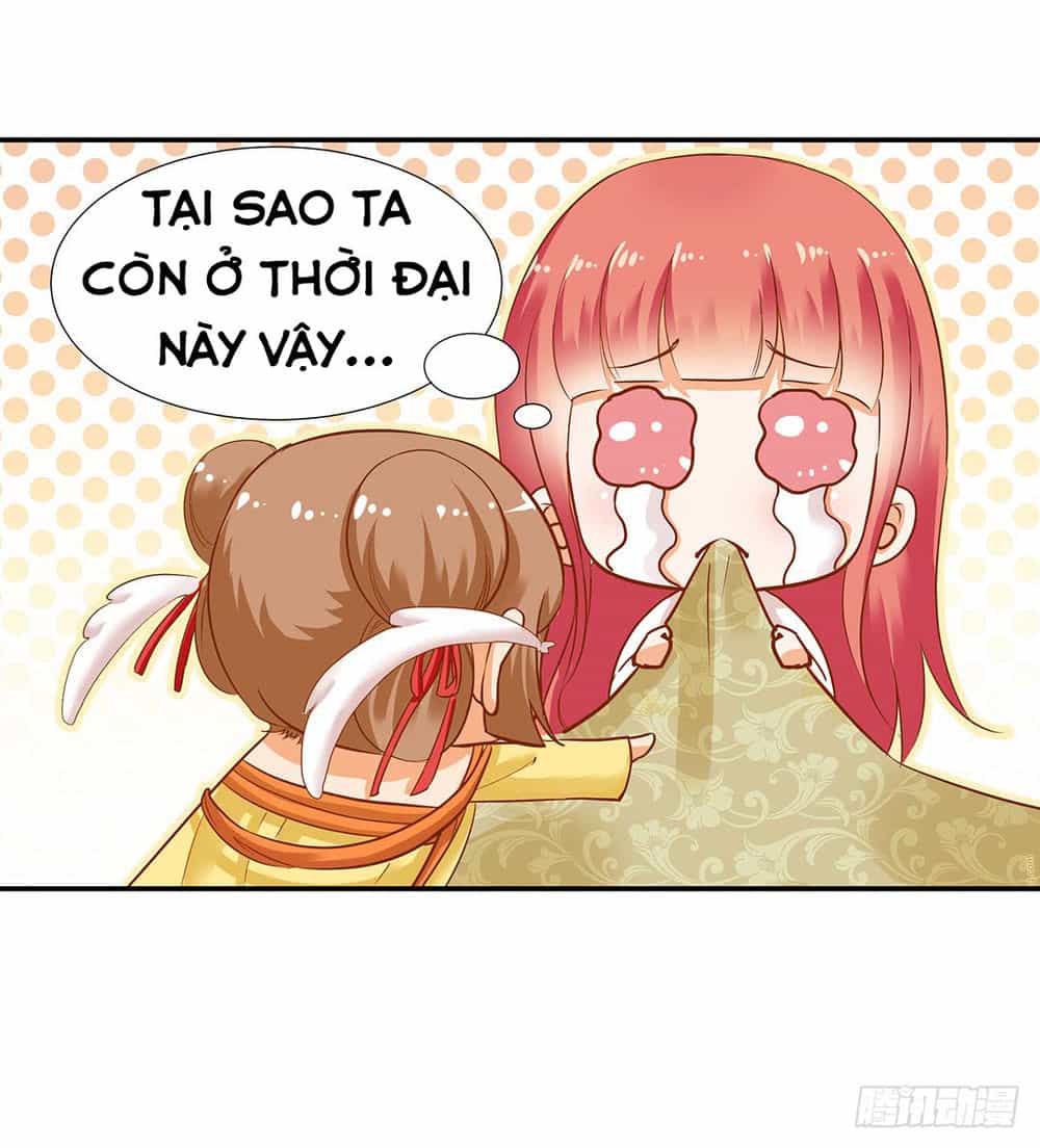 Xuyên Việt Vương Phi Yếu Thăng Cấp - Chương 3 - ảnh 28
