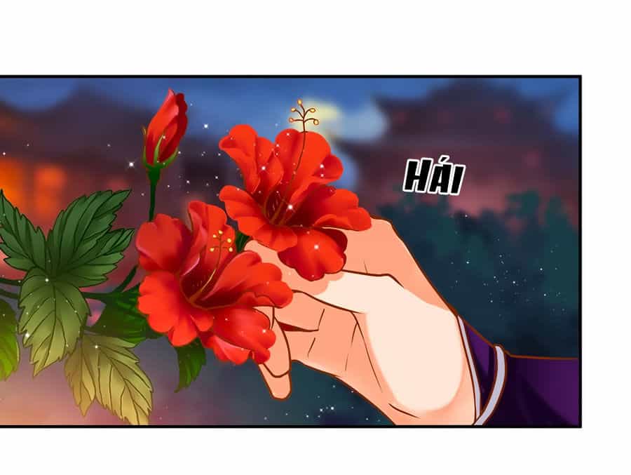 Xuyên Việt Vương Phi Yếu Thăng Cấp - Chương 46 - ảnh 10
