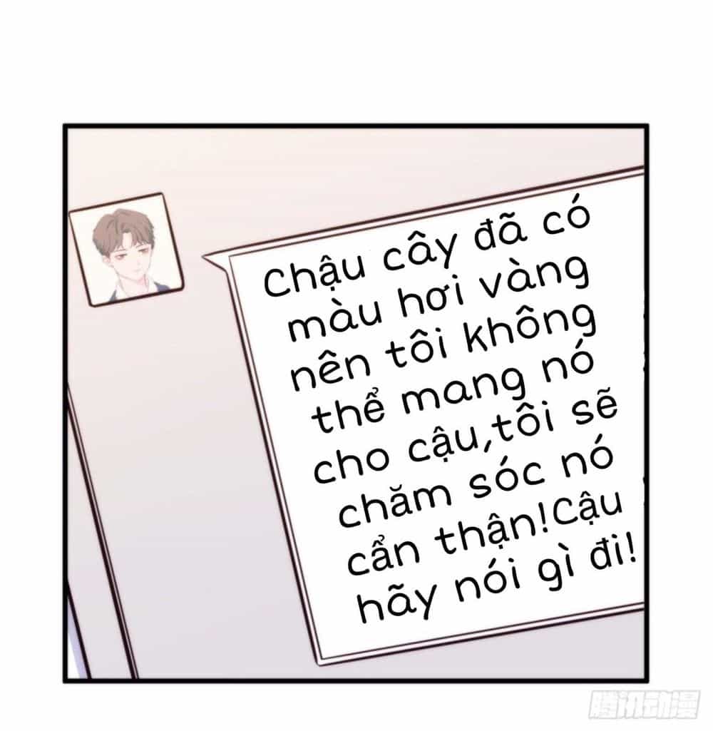 Yếu Hữu Quang - Chương 3 - ảnh 17