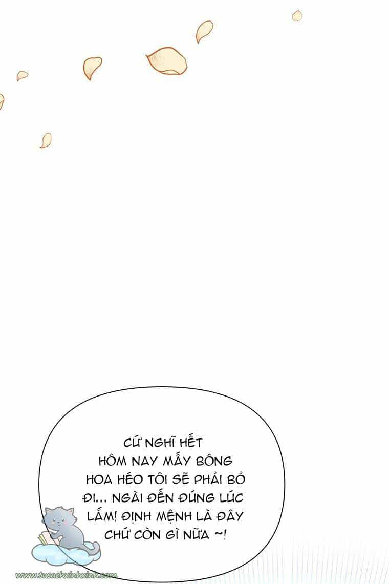 Yêu Tôi Đi, Dù Sao Ngài Cũng Chỉ Là Nhân Vật Phụ - Chương 39 - ảnh 78
